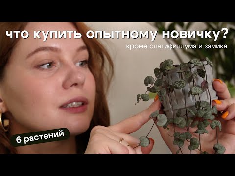 Видео: НЕ СКУЧНЫЕ РАСТЕНИЯ для Junior + цветочника | ПОДОЙДУТ для ЭКСПЕРИМЕНТОВ с грунтом и ФИТИЛЁМ