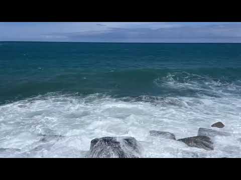 Видео: А море рядом