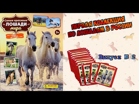 Видео: PANINI Альбом для наклеек "Самые красивые лошади мира" 2023г. Обзор и распаковка пакетиков) Выпуск 2