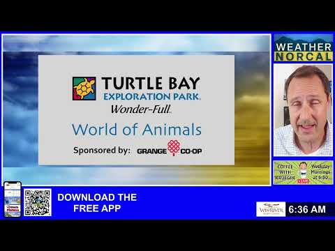 Видео: Кофе с Крюгером. Понедельник, 3 ноября