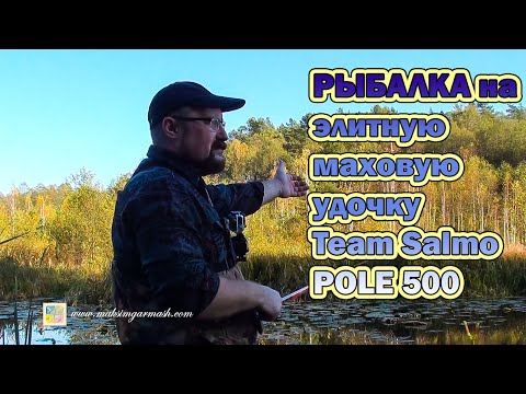 Видео: Рыбалка на элитную маховую удочку Team Salmo POLE 500. Первые впечатления