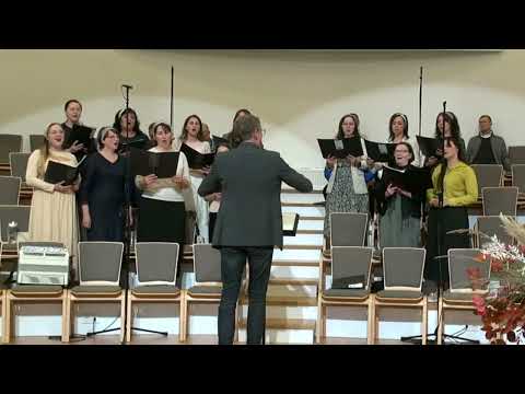 Видео: Песню "Нива вся белёшенька стоит" поёт женская группа хора.