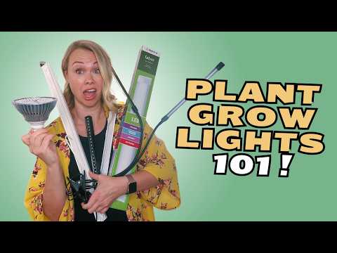 Видео: Выбор лучших фитоламп для комнатных растений: руководство для начинающих 💡🌱