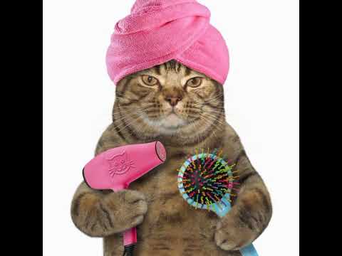 Видео: Ксюш Ксюш Ксюша - Алёна Апина и Комбинация speed up