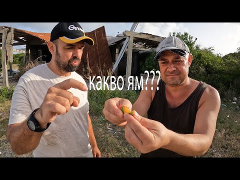 Видео: КАКВО ИЗЯДОХ В ДЖУНГЛАТА? WHAT I EAT IN THE JUNGLE? #nature #forageharvest#caribbean#animals#travel