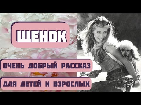 Видео: Щенок, или Очень важный поступок. Автор Николай Агафонов,читает Светлана Копылова.Интересная история