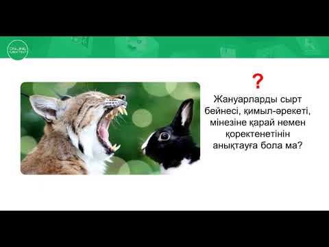 Видео: Неліктен әр жануардың қорегі әртүрлі болады?