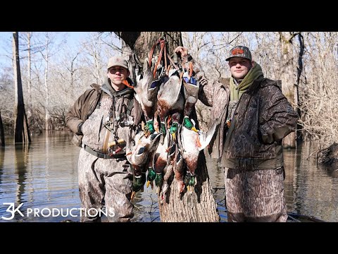 Видео: Охота на уток в Арканзасе | Кряквы на мелководье