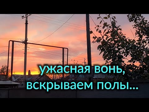 Видео: Дом у лимана. Ужасная вонь, вскрываем полы. Ремонт и работа Олега.