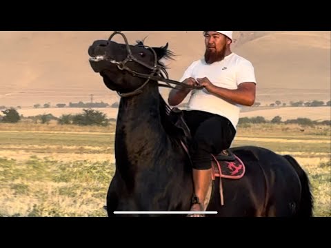 Видео: Санчо  Жанторо93 жаны Аты 17 сентября 2025 г.