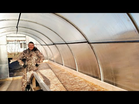 Видео: Подготовка к укоренению саженцев винограда, теплый стол