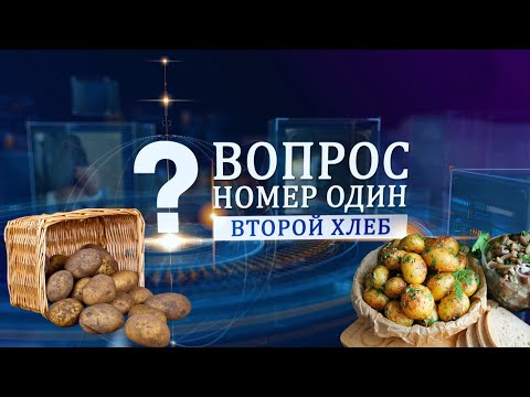 Видео: О сортах картофеля белорусской селекции. Вопрос номер один