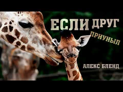 Видео: Если друг приуныл. Что можно сделать для отчаявшегося человека? Автара к Пинхас. I Млахим 19:1-8