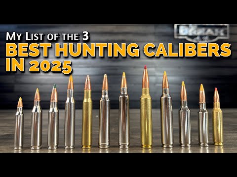 Видео: Лучшие охотничьи калибры 2025 года