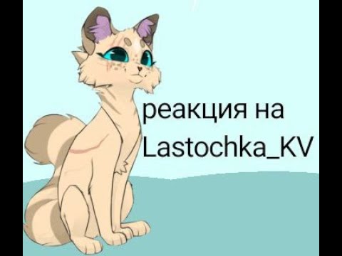 Видео: реакция на @La𝚜𝚝𝚘𝚌𝚑𝚔𝚊_𝙺𝚟𓁹 , надеюсь вам зашло) \\коты воители\\ реакция \\#возрадимрукв #котывоители