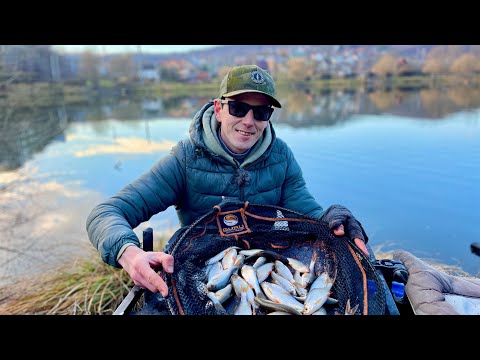 Видео: Вся риба в цій ямі! Рибалка 2023