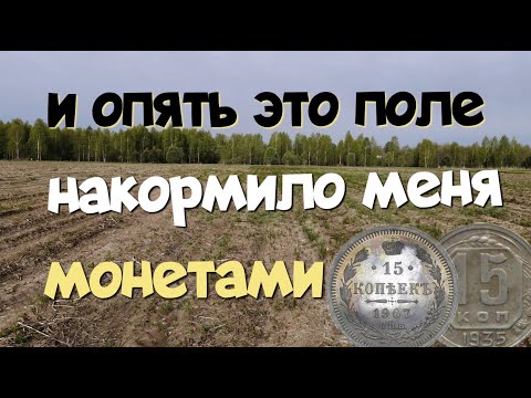 Видео: №176 И ОПЯТЬ ЭТО ПОЛЕ НАКОРМИЛО МЕНЯ МОНЕТАМИ. ПОИСК СТАРИНЫ С ЭКВИНОКС 800. КОП 2024.