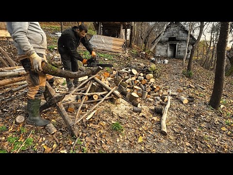 Видео: Тихий тиждень: дрова, покупки і котики
