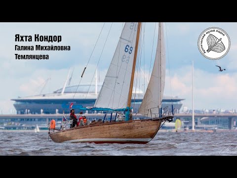 Видео: Кондор