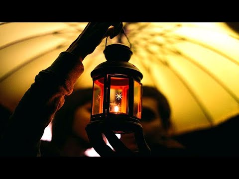 Видео: Цветы - "Звёздочка моя ясная"