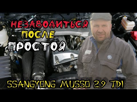 Видео: SSANGYONG Musso 2.9 TDI Проблема завести после недолгого простоя