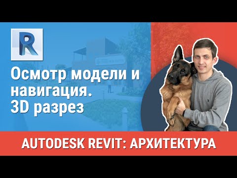 Видео: [Урок Revit АР] 3D разрез