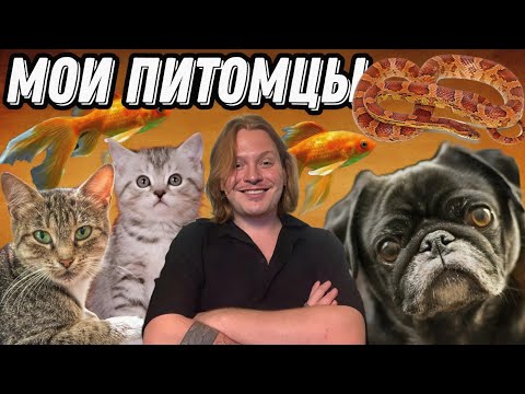 Видео: МОИ ПИТОМЦЫ.....ЖИЗНЬ В ЗООПАРКЕ.