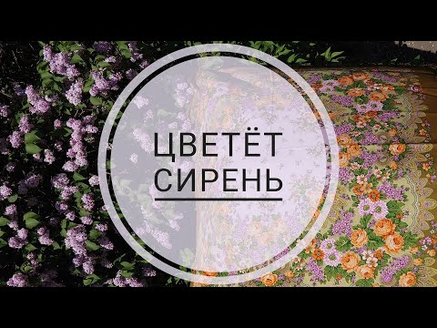 Видео: Павловопосадский платок. Цветет сирень