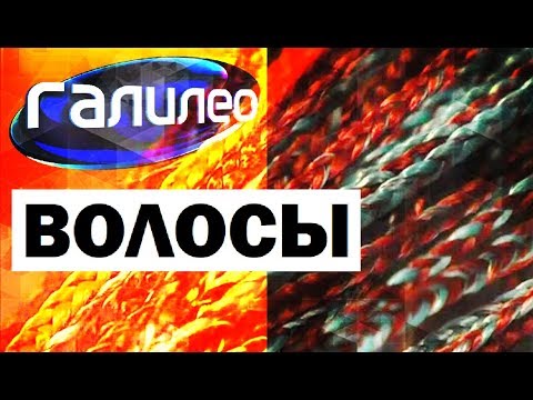 Видео: Галилео. Волосы 💇 Hair