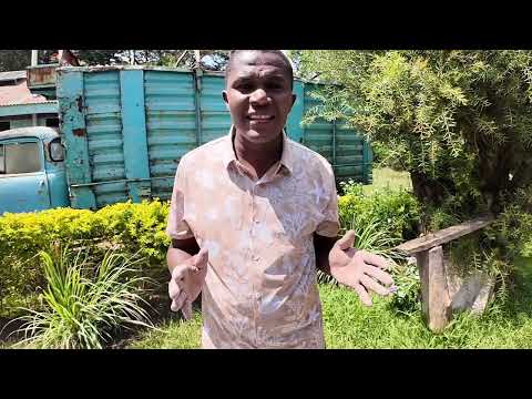 Видео: Как открыть птицеферму новичку в 2026 году.