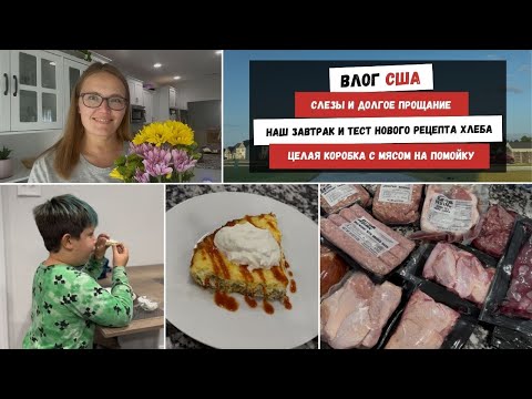 Видео: Слезы и Долгое Прощание | Наш Завтрак и Тест Нового Рецепта Хлеба Целая Коробка с Мясом на Помойку