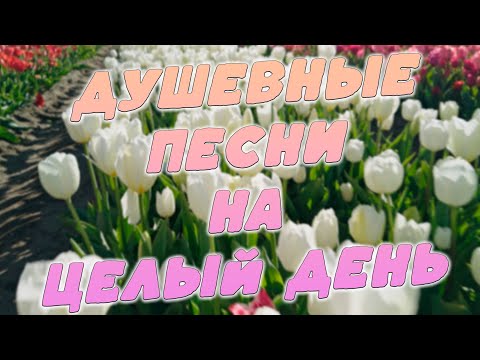 Видео: Песни от всей души 🎵 Слушай и отдыхай 🎵