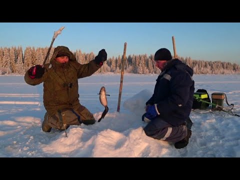 Видео: НУ на КОНЕЦ ТО РЫБА!!! ПОЙМАЛИ ТРЕСКИ будет ЖАРЁХА.