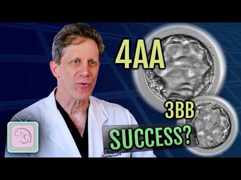 Видео: Эксперт по ЭКО: Предсказывают ли оценки эмбриона успех ЭКО?