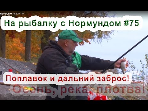 Видео: Поплавок. Осень. Дальний заброс. На рыбалку с Нормундом #75