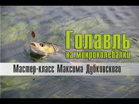 Видео: Ловля голавля на микроколебалки. Мастер-класс Максима Дубковского