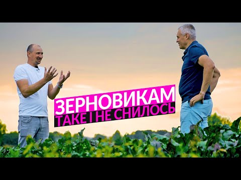 Видео: Як заробити на овочах. Вирощування борщового набору в Organic D