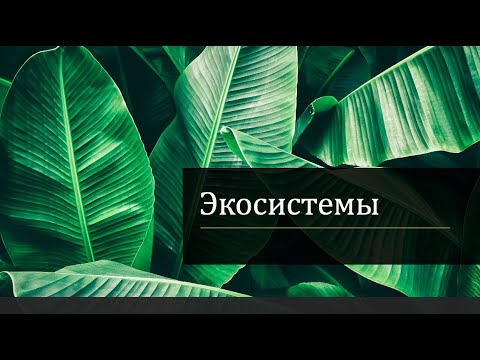 Видео: Экология Экосистем (часть 2)