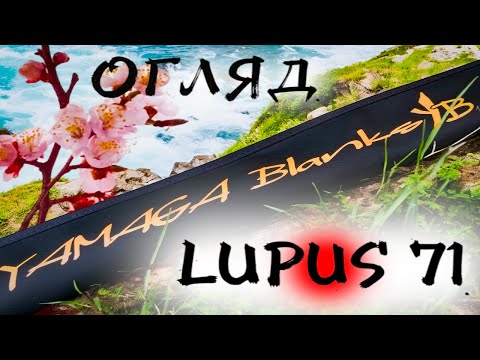 Видео: YAMAGA BLANKS LUPUS 71 |  Відео огляд