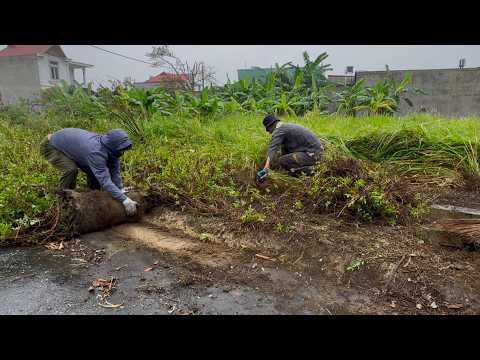 Видео: Это ХУЖЕ, чем кажется!!! Я косил вручную и застрял СТАРОЙ медицинской иглой