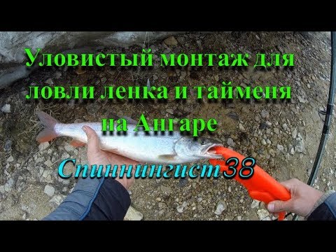 Видео: Уловистый монтаж для ловли ленка и тайменя