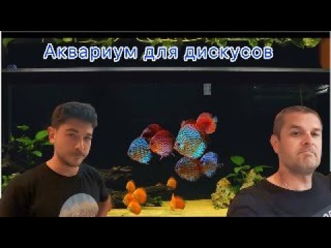 Видео: Пресный аквариум 600 литров для дискусов .
