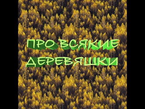 Видео: Рассказ про разные породы дерева