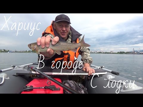 Видео: Хариус на Енисее