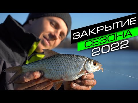 Видео: РЫБА КЛЮЁТ НА КАЖДОМ ЗАБРОСЕ / ФИДЕР НА МОСКВЕ - РЕКЕ / FROS FISHING