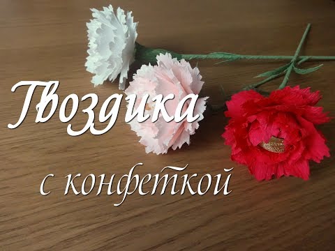 Видео: ГВОЗДИКА ИЗ ГОФРИРОВАННОЙ БУМАГИ С КОНФЕТКОЙ.