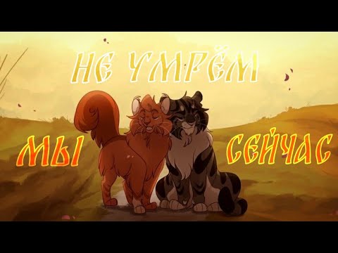 Видео: Коты Воители Ежевика и Беличья Звезда: Мы не умрём сейчас [Panheads Band]