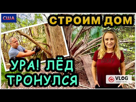 Видео: Хорошие новости! Назначили дату расчистки участка!🙏Едем выкапывать пальму и пилить можжевельник. США