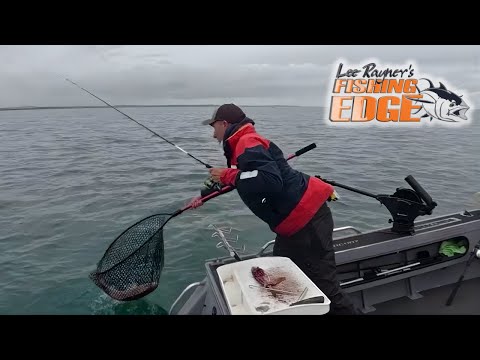 Видео: Упорство окупается – люциан и мерланг в обычных условиях