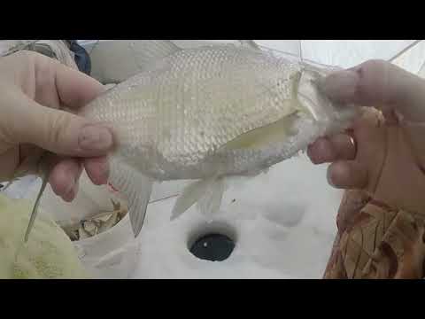 Видео: Казахстан. Жезказган. Сатпаев. Дуплеты прут!